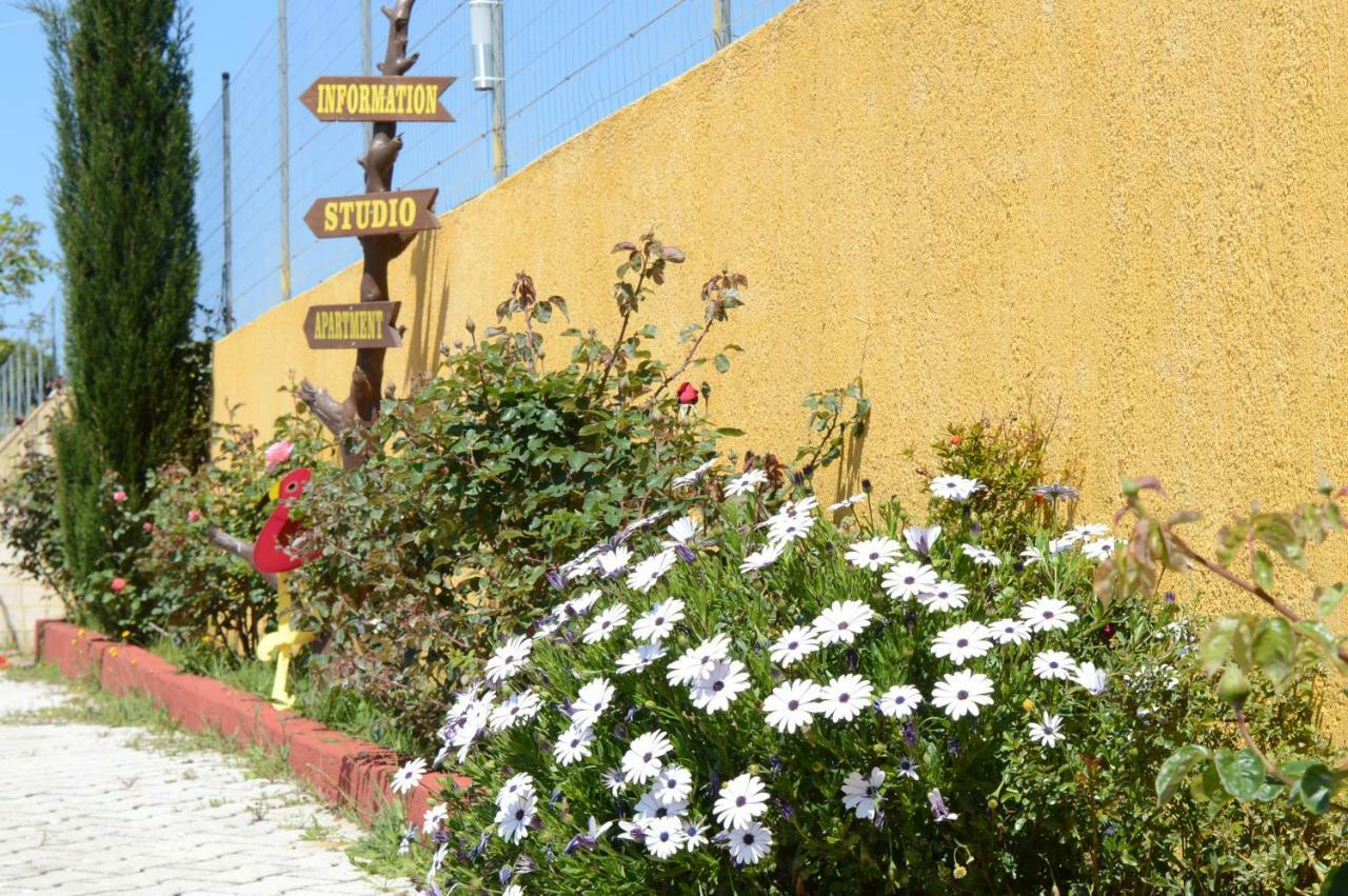 Acqui Villa Argostoli  Exterior foto